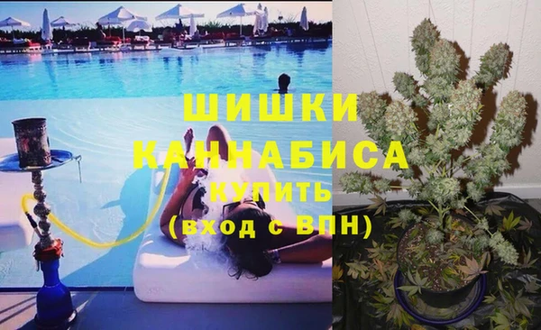 крисы Балахна