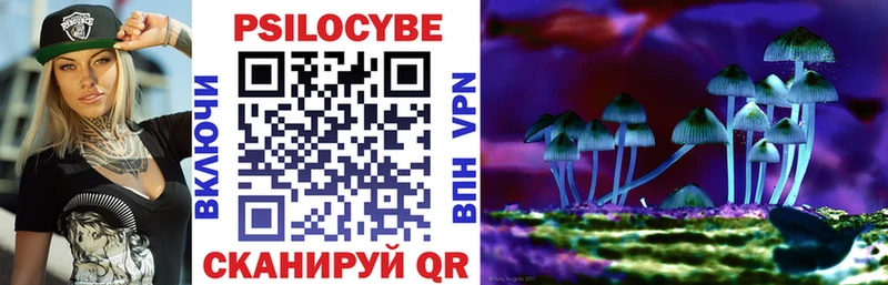 Галлюциногенные грибы Psilocybe  Купить закладки  Туран 